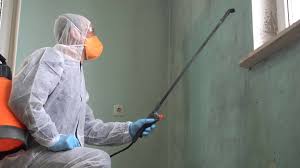 Biohazard Mold Removal in Delhi, CA