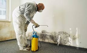 Best Commercial Mold Inspection  in Delhi, CA