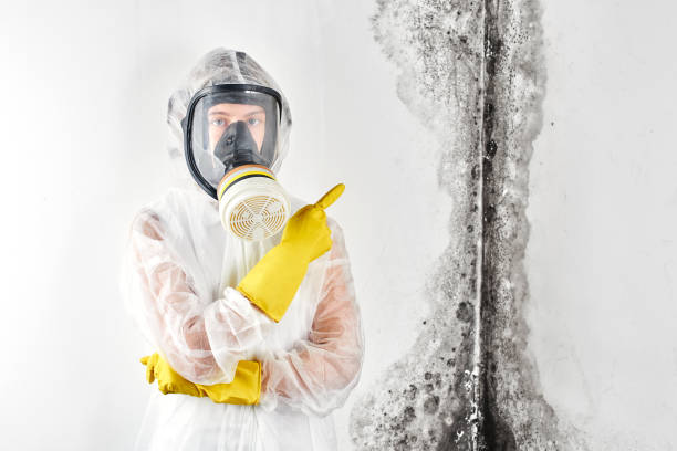 Best Biohazard Mold Removal  in Delhi, CA