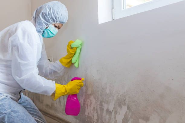 Best Industrial Mold Remediation  in Delhi, CA