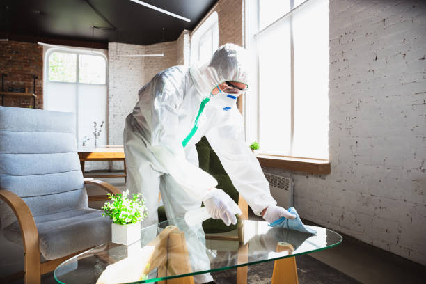 Why You Should Choose Our Mold Remediation Services in Delhi, CA