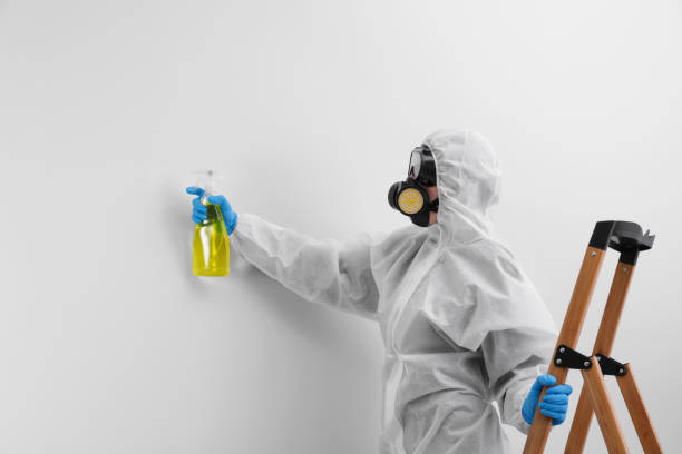 Best Forensic Mold Investigation  in Delhi, CA